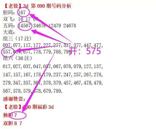 最新科技探索，3D济公天地与杀码技术的前沿研究