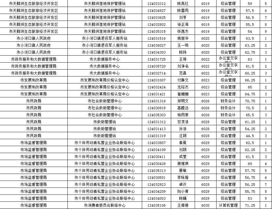 石首市发展和改革局最新招聘启事概览