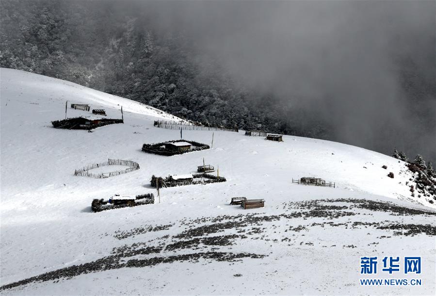 塘巴雪村神秘面纱下的新面貌揭晓最新新闻曝光