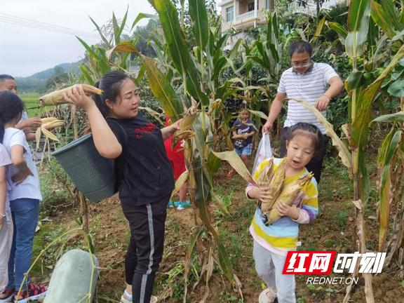 吉首市自然资源和规划局最新动态报道