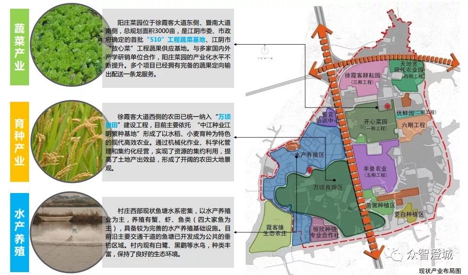 苏阳村现代化发展规划蓝图，打造全新农村新面貌