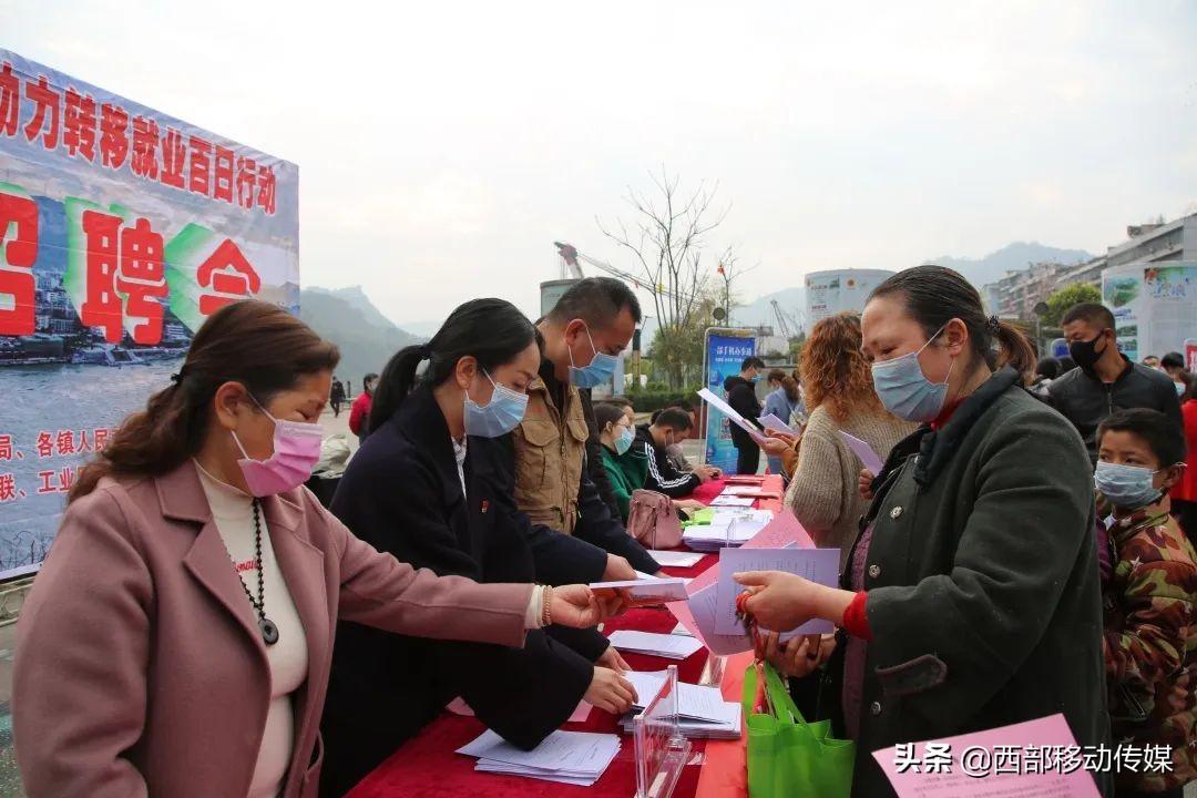 水富县计划生育委员会最新招聘信息概览