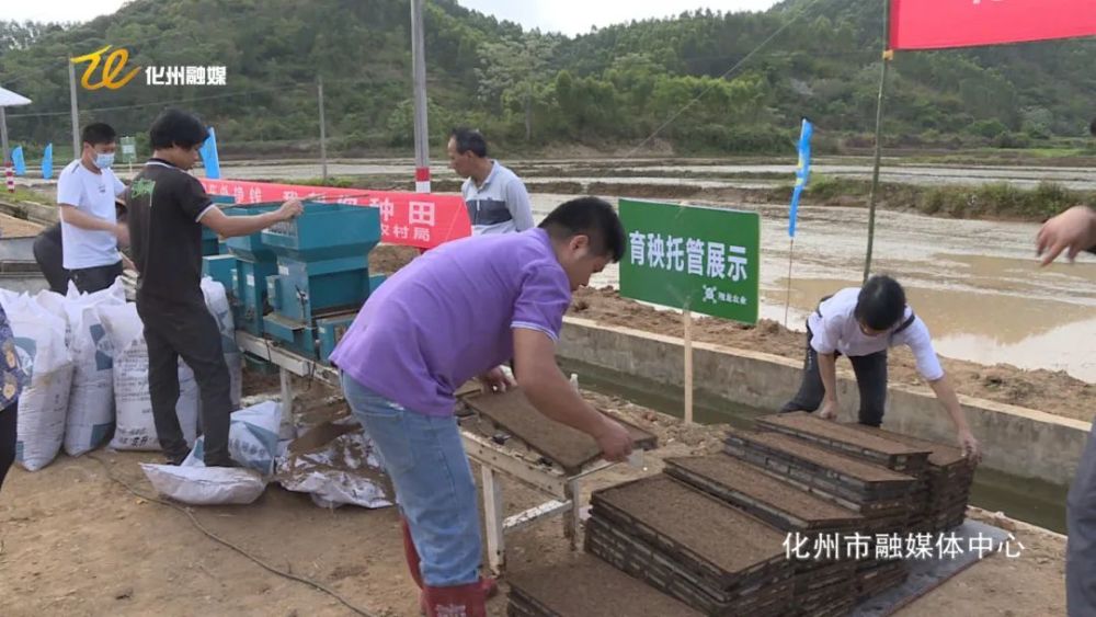 那务镇最新项目，地方发展的强大引擎领航者