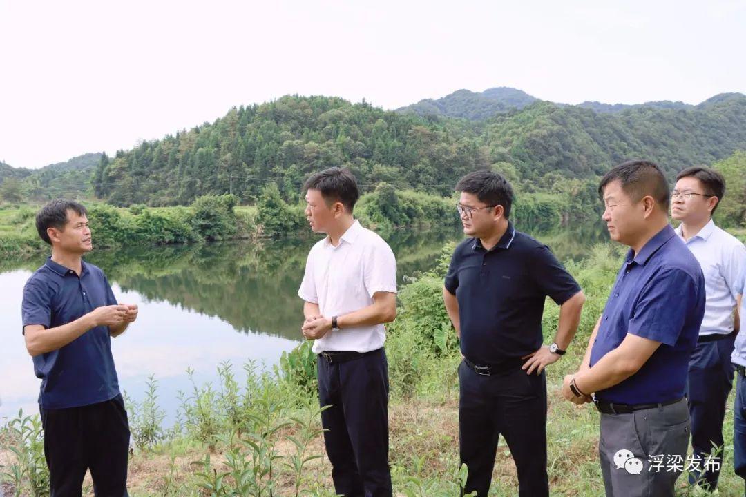 新联居委会重塑城市交通脉络，打造宜居生活最新报道