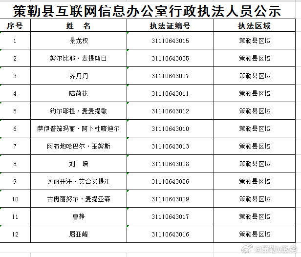 疏勒县数据和政务服务局最新发展规划深度探讨