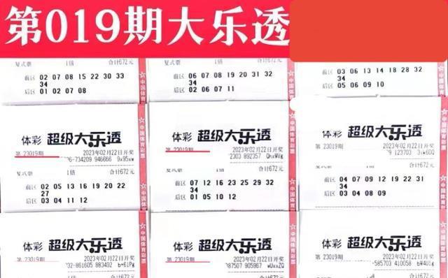 2024天天开彩免费资料,现状评估解析说明_Plus82.911