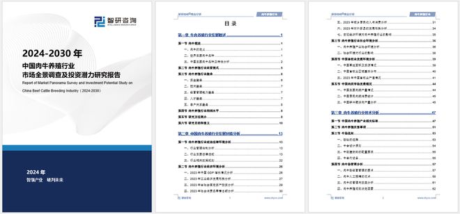 香港资料大全正版资料2024年免费,创新方案设计_Advanced12.129