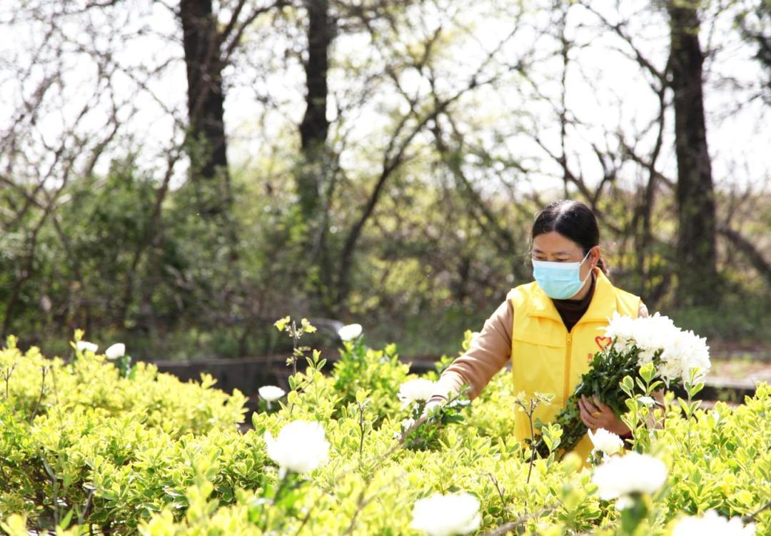 花山区特殊教育事业单位全新发展规划揭晓