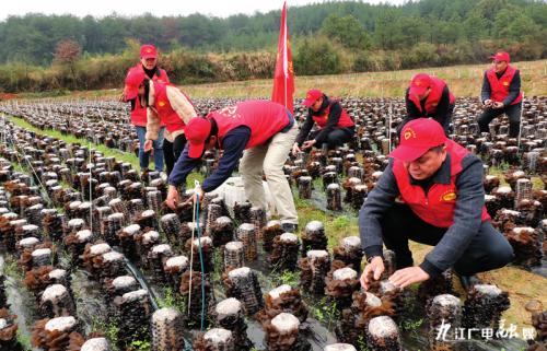 青原区退役军人事务局领导团队最新概况