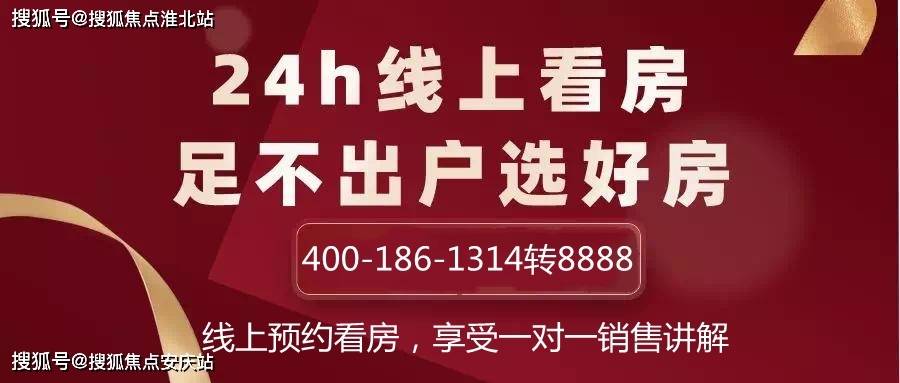 2024年管家婆一奖一特一中,现状说明解析_set62.447