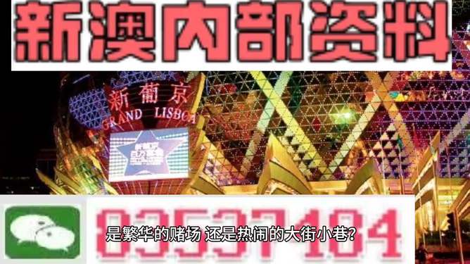 新澳门精准资料大全管家婆料,适用性执行方案_免费版73.153