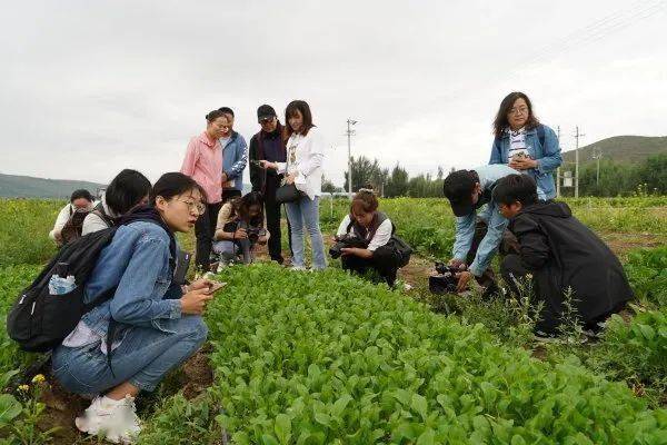 马莲沟村委会最新动态报道