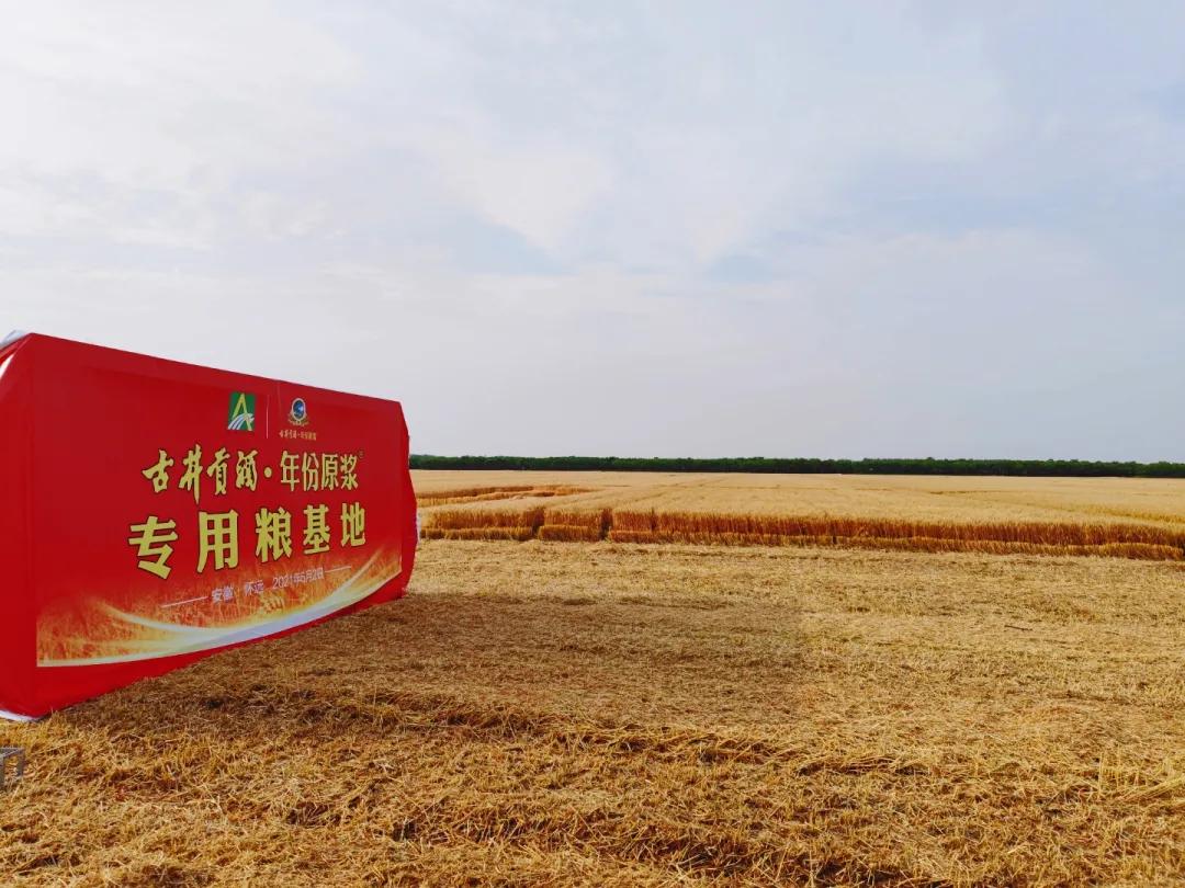 织贡农场交通新动态，发展助力农场繁荣