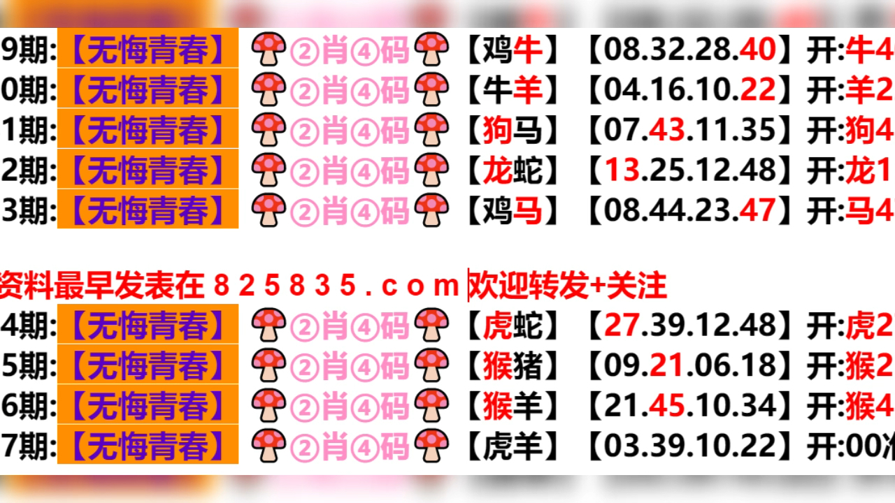 新奥门六开奖结果2024开奖记录,实践经验解释定义_进阶款65.181