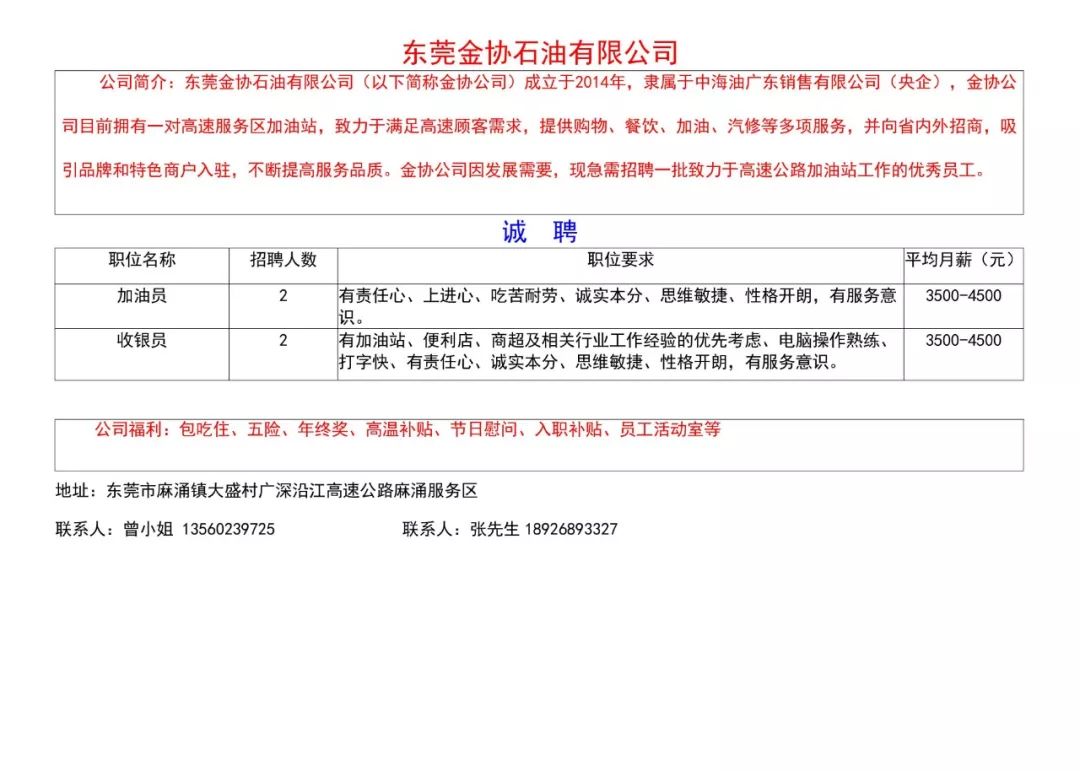 东石镇最新招聘信息汇总