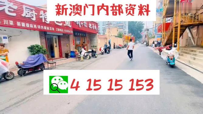 2024新澳门天天开好彩,高度协调策略执行_yShop13.38