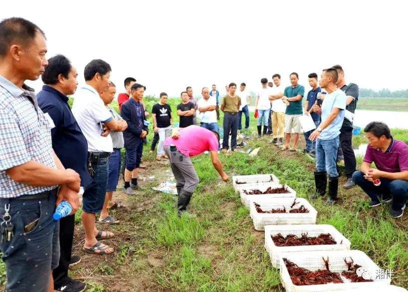 双峰县科技局等新闻动态深度解析报告