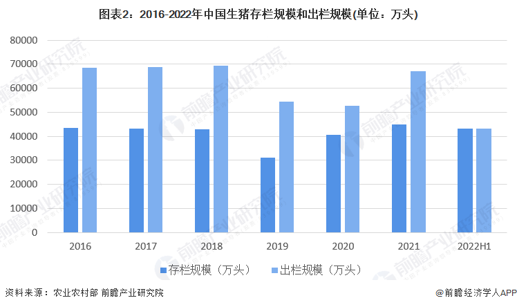 2024年11月份新病毒,深入执行数据策略_VE版32.263