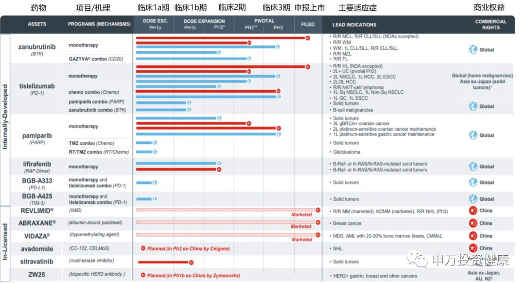 2024新澳今晚资料鸡号几号,创新策略解析_战略版25.336