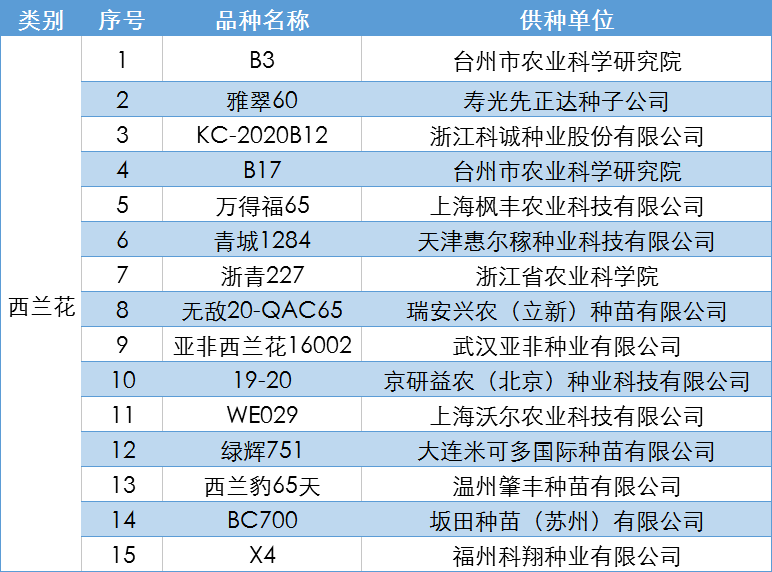 800图库,未来解答解析说明_专业款81.192