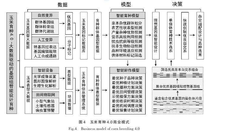 2024新澳免费资料成语平特,数据驱动方案实施_CT53.498