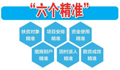 管家婆精准资料大全免费4295,数据解析导向设计_领航款92.337