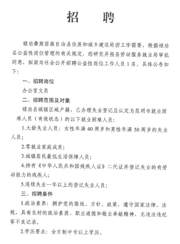 杂色村最新招聘信息全面解析