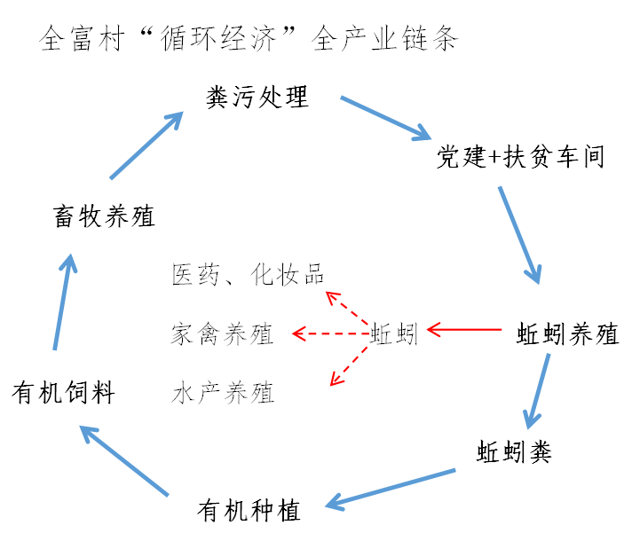 克山县种畜场最新发展规划概览