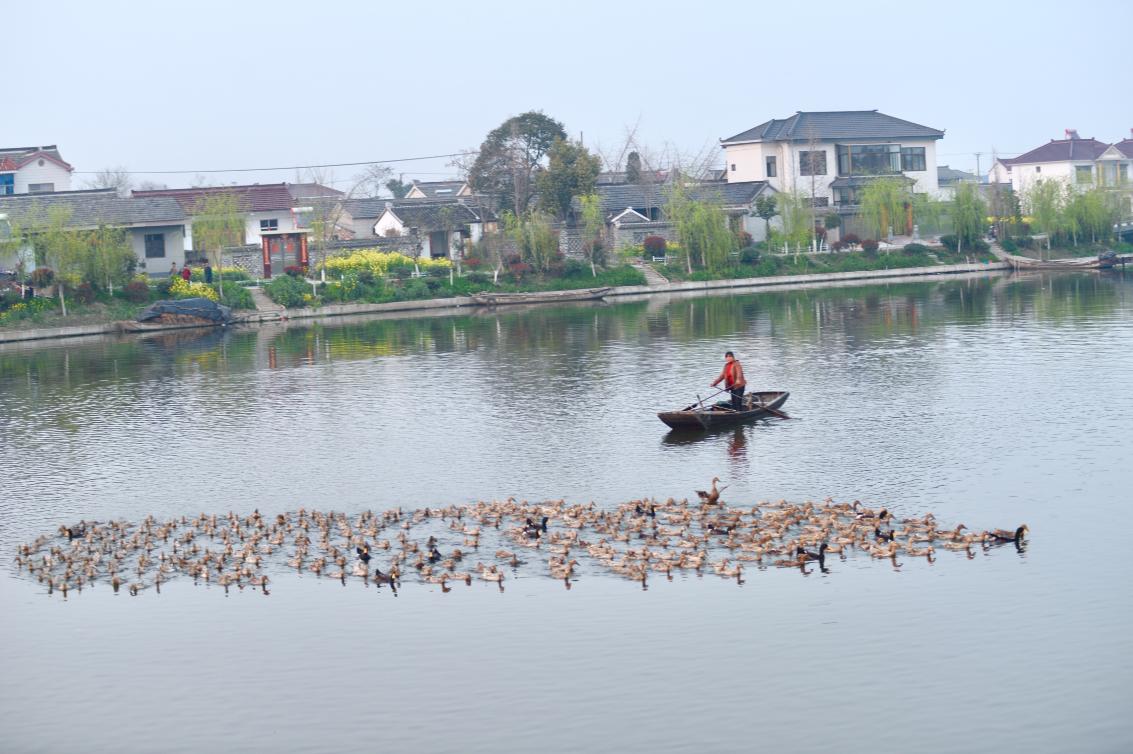 溱湖风景区发展规划揭秘，打造世界级生态旅游胜地新篇章