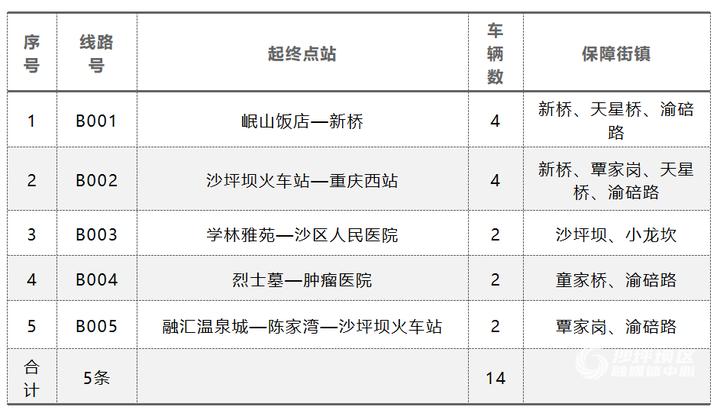 沙坪坝区交通运输局最新新闻动态解析