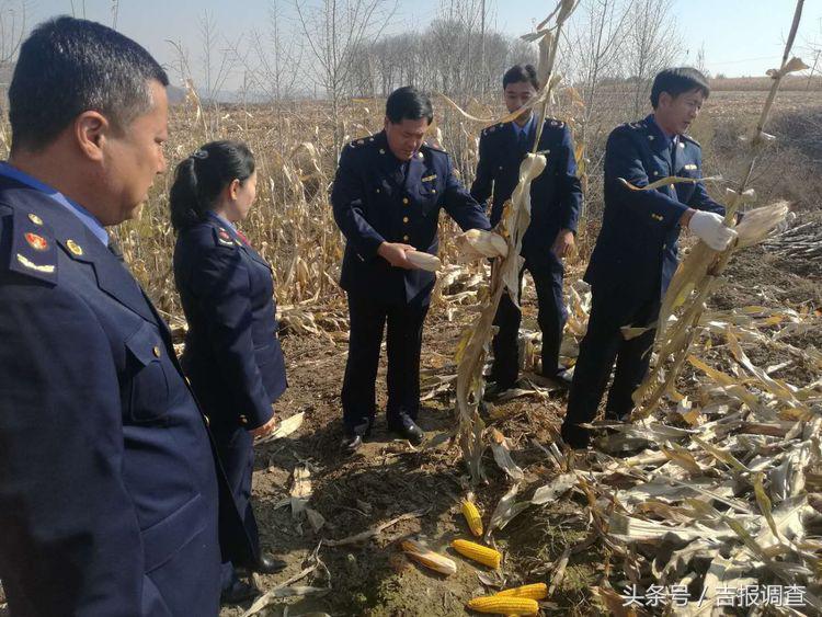 辉南县发展和改革局最新新闻动态