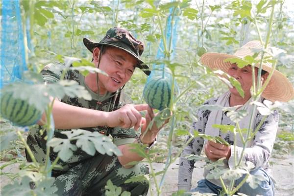 休宁县退役军人事务局最新动态报道