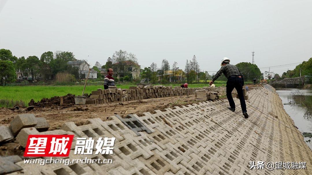 望城县公路维护监理事业单位招聘公告发布