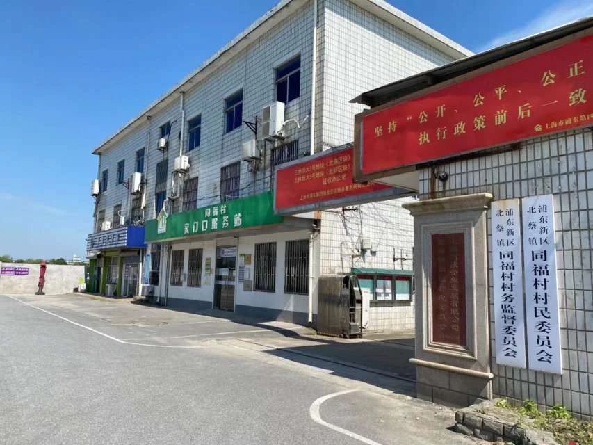 四墩村民委员会最新项目，推动乡村振兴，提升村民生活质量