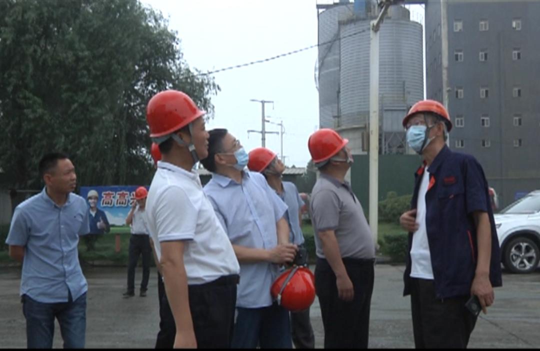 平桥区统计局最新领导团队，引领与担当