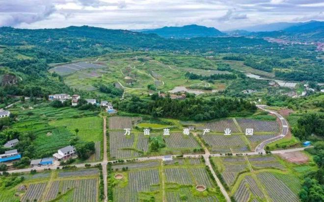 峰山乡最新天气预报