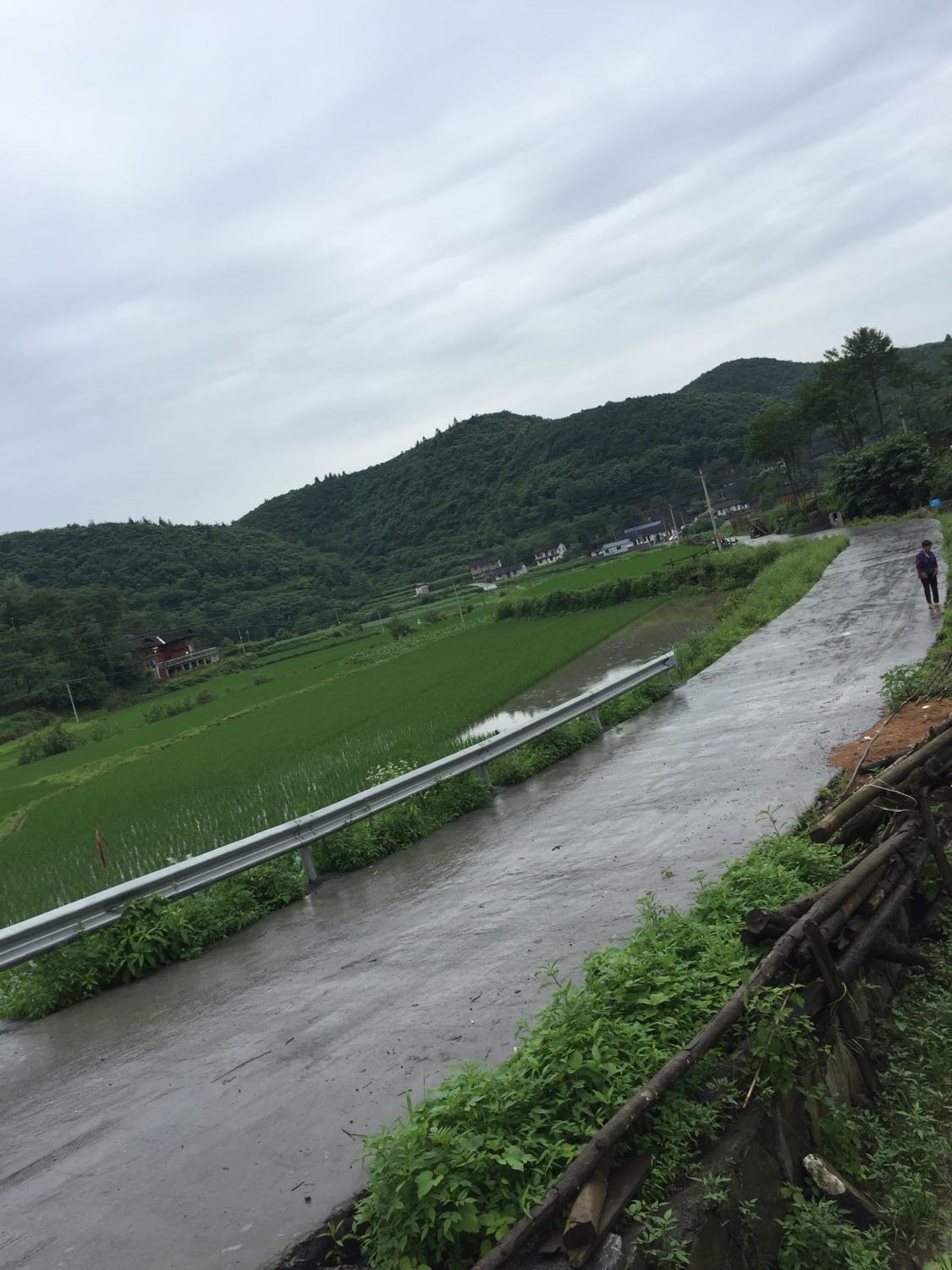 两河镇最新天气预报