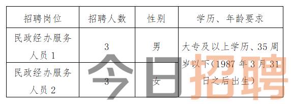 修武县数据和政务服务局最新招聘信息全面解析