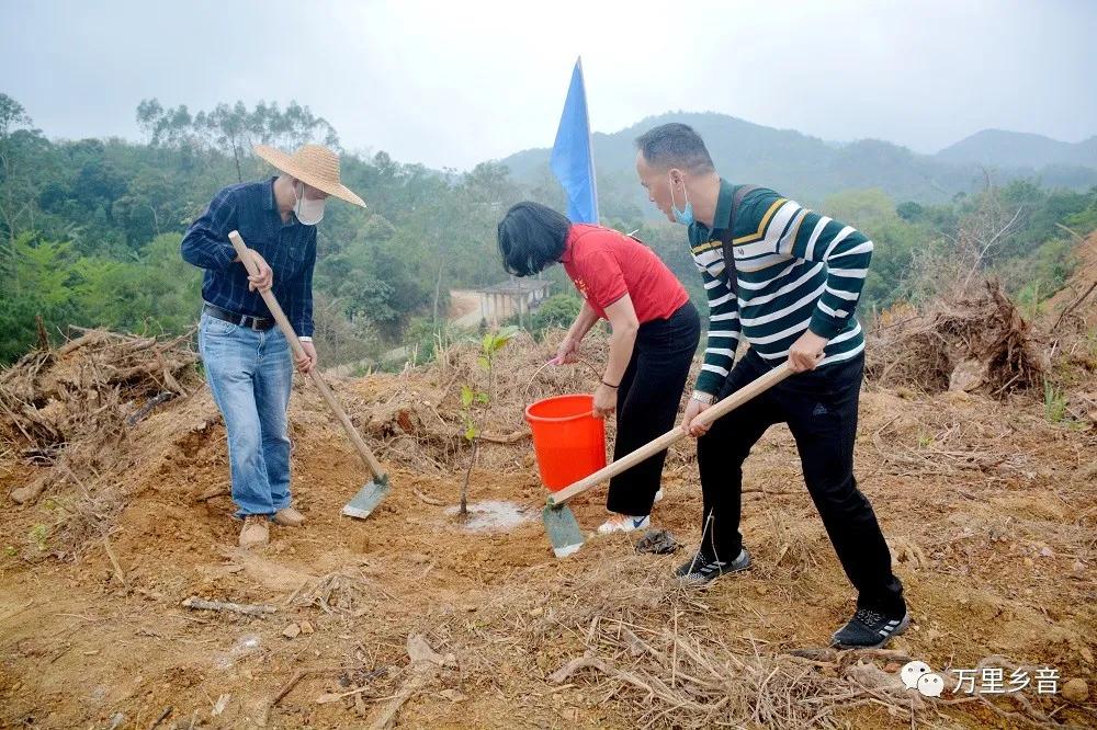 花滩林场最新招聘信息及其相关内容探讨