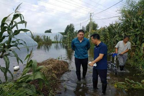 丰满区应急管理局领导团队全新亮相，职责概览与领导力展示