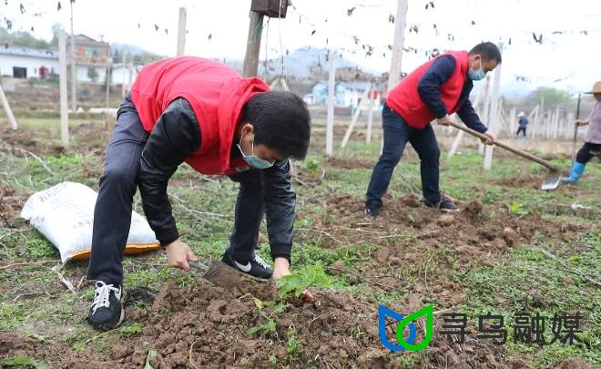 南桥村委会领导团队全新概览