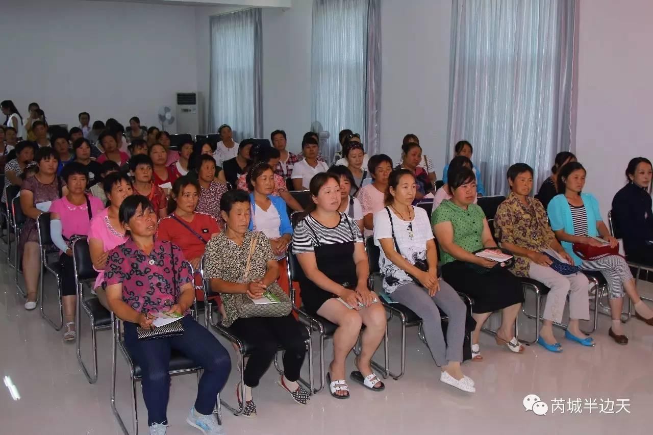 山西省运城市芮城县南卫乡新项目，推动地方经济与社会发展的强大动力之源