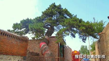 山西省临汾市洪洞县兴唐寺乡发展规划概览