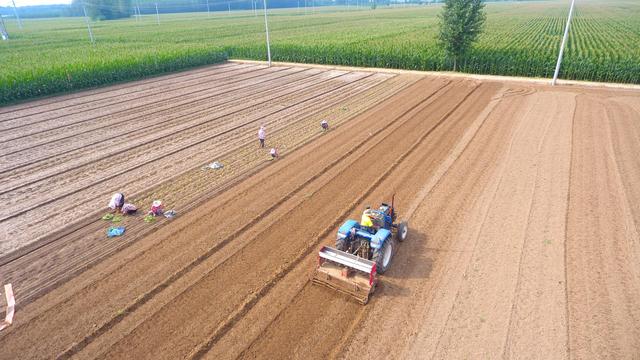 荣光农场现代化交通体系迈进的重要步伐新闻发布