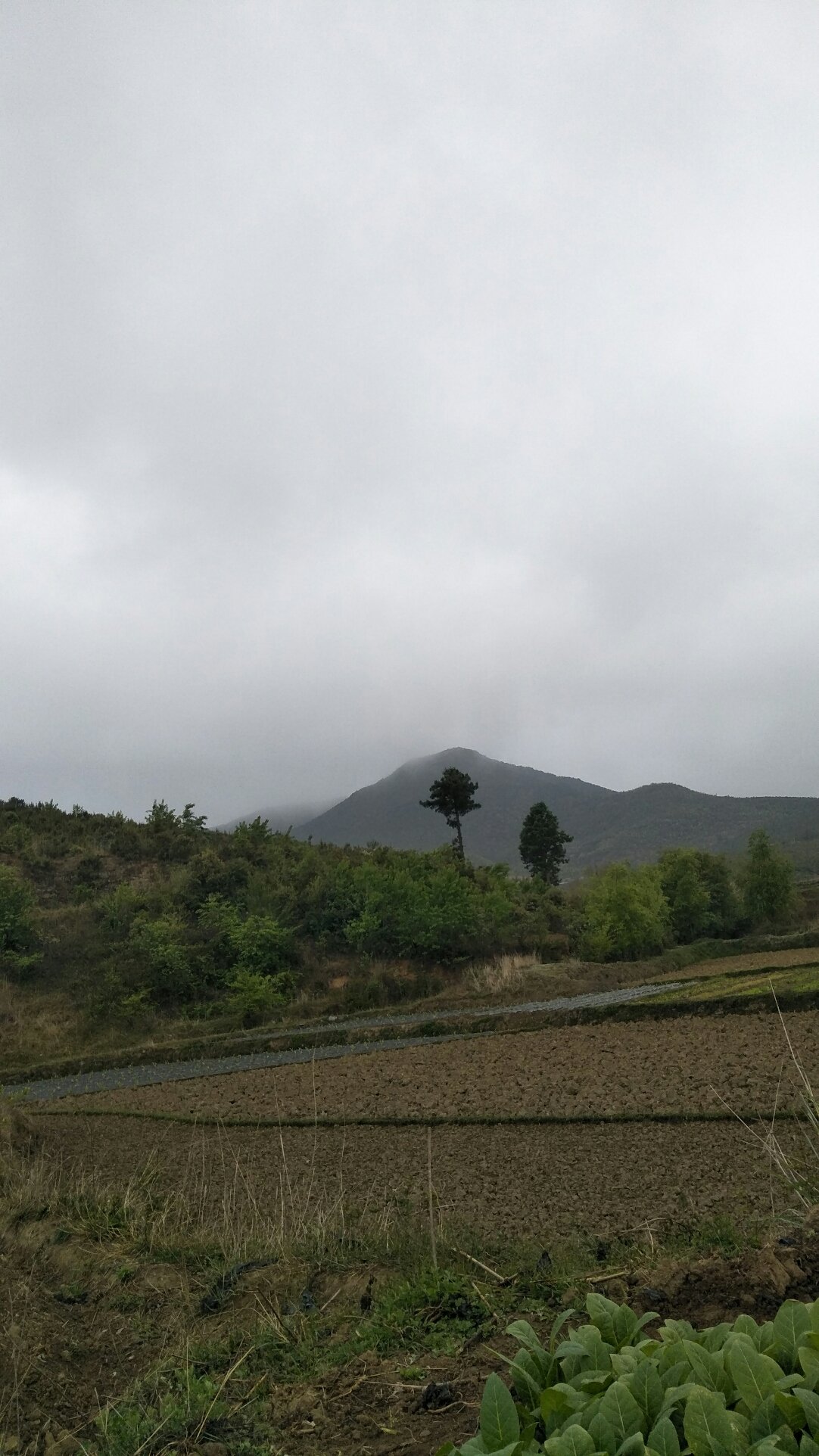 收成乡天气预报更新通知