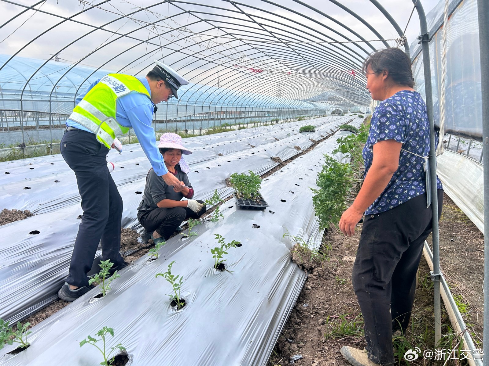 第三良种场最新交通新闻动态